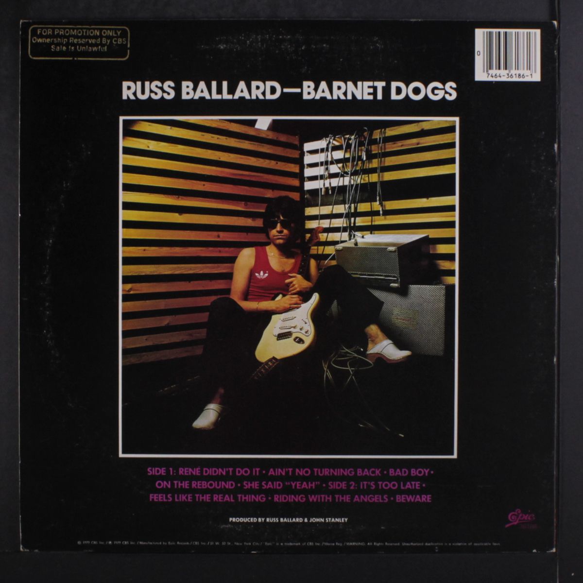 barnet dogs by RUSS BALLARD