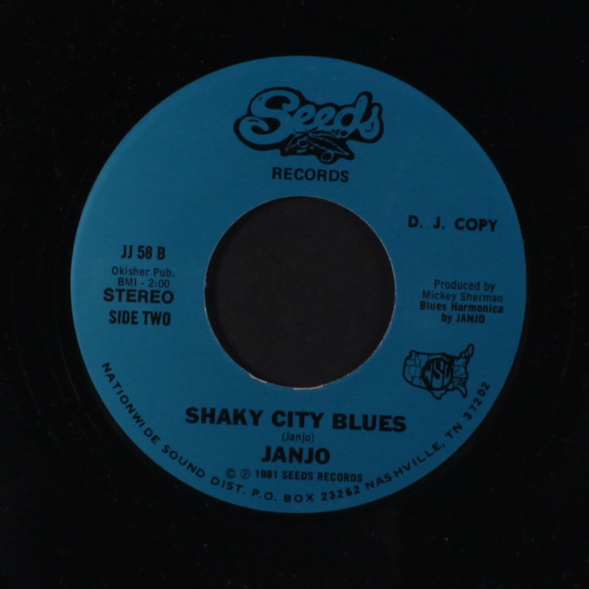 you got to marry me! / shaky city blues by JANJO