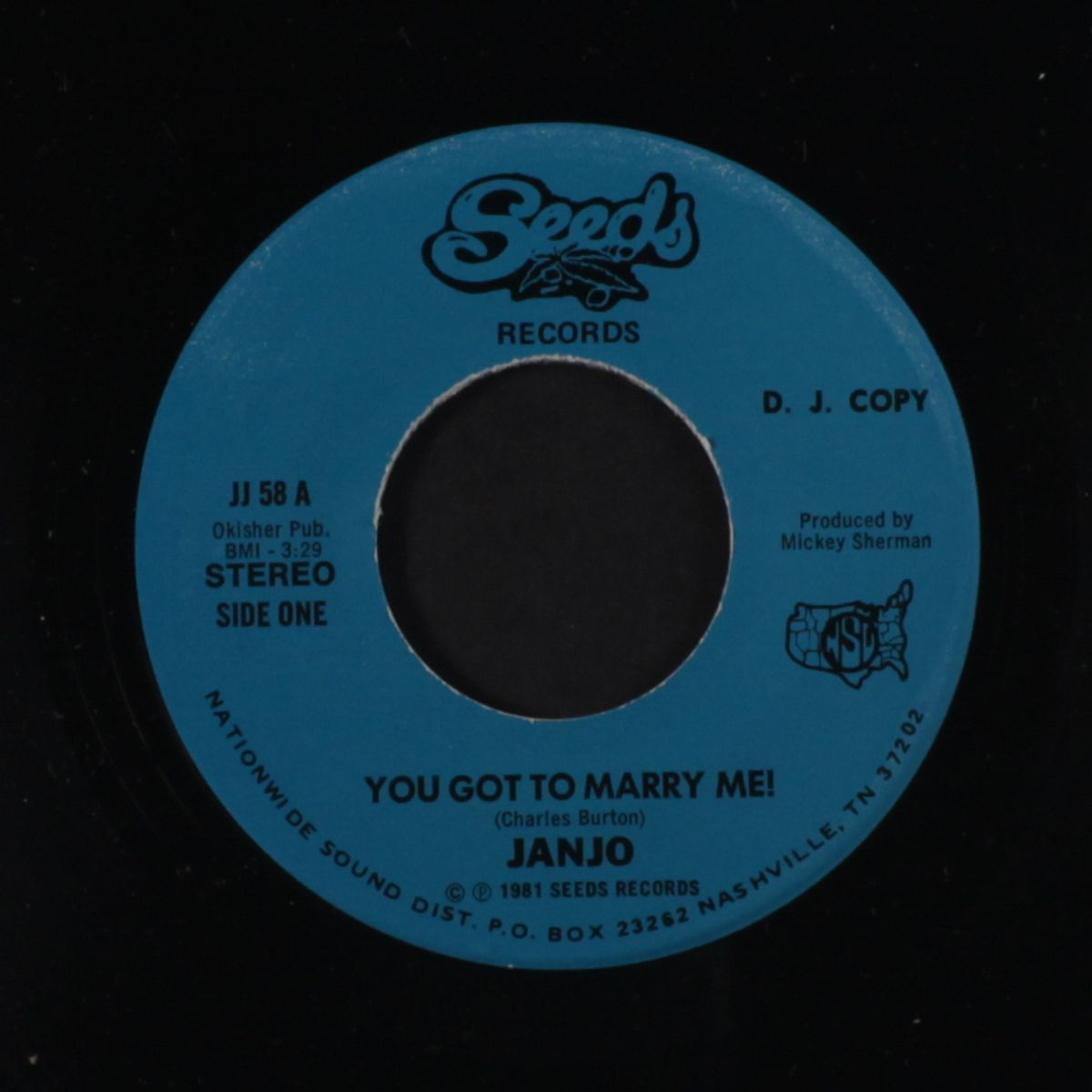 you got to marry me! / shaky city blues by JANJO