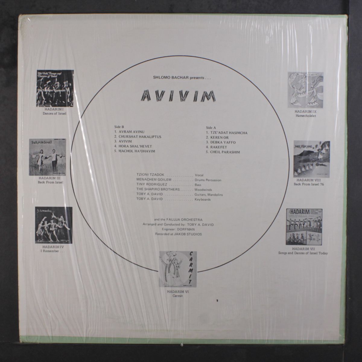 avivim by SHLOMO BACHAR