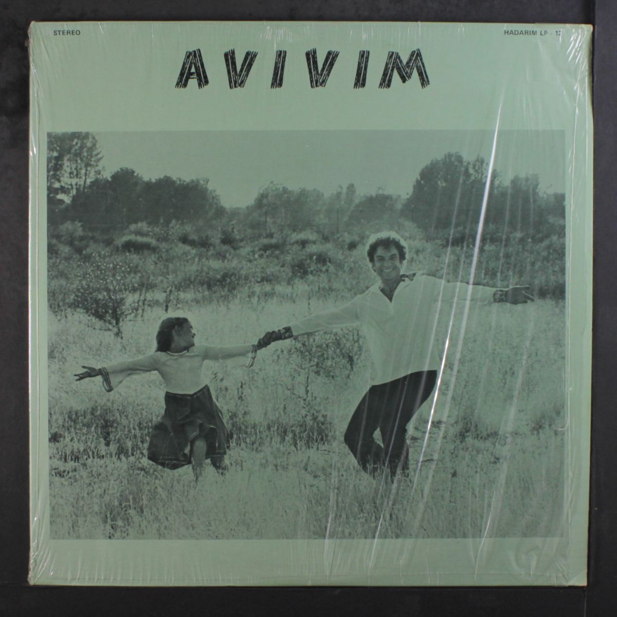 avivim by SHLOMO BACHAR