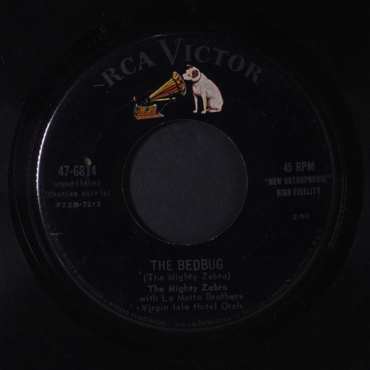 the bedbug / la empaliza by MIGHTY ZEBRA