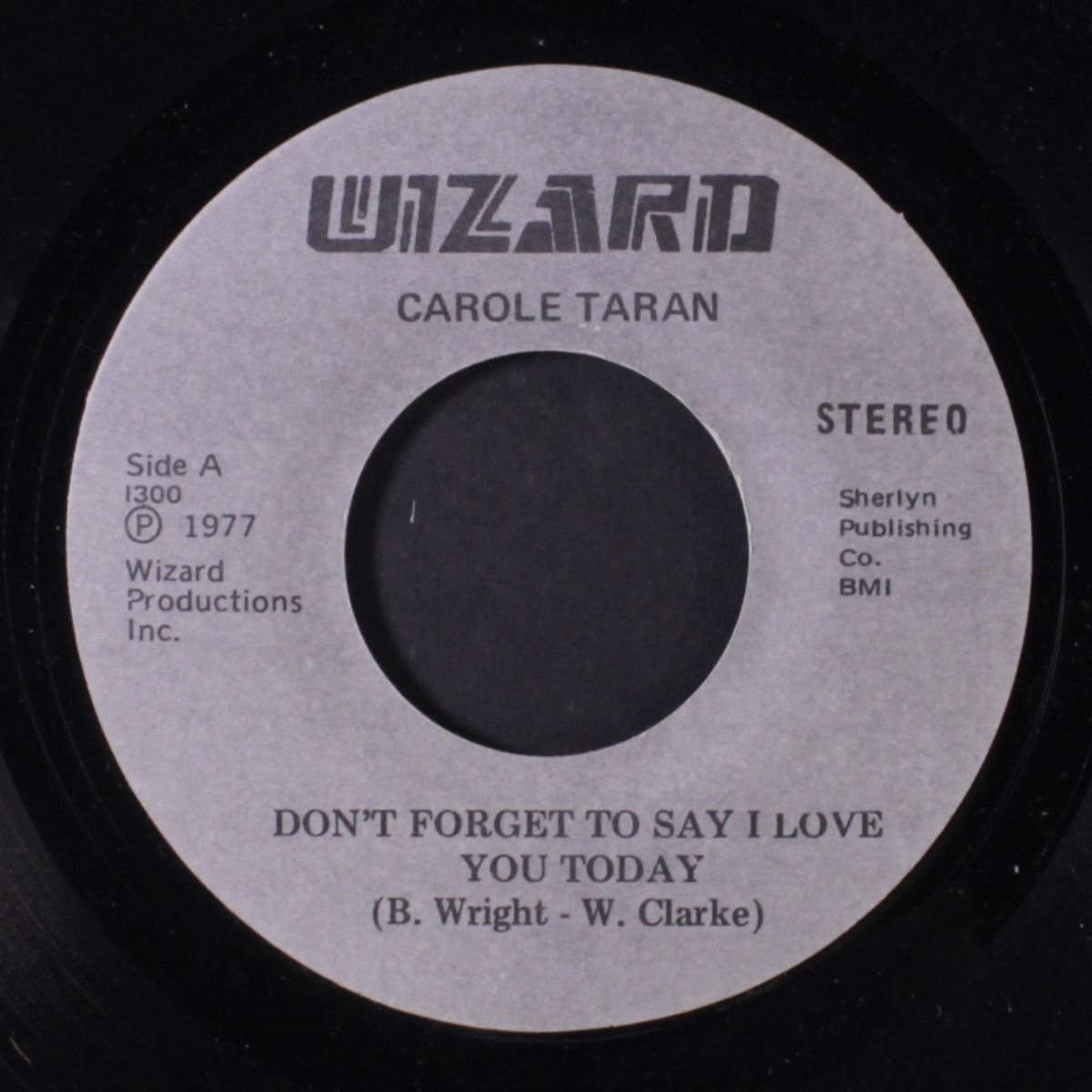 don't forget to say i love you today by CAROLE TARAN