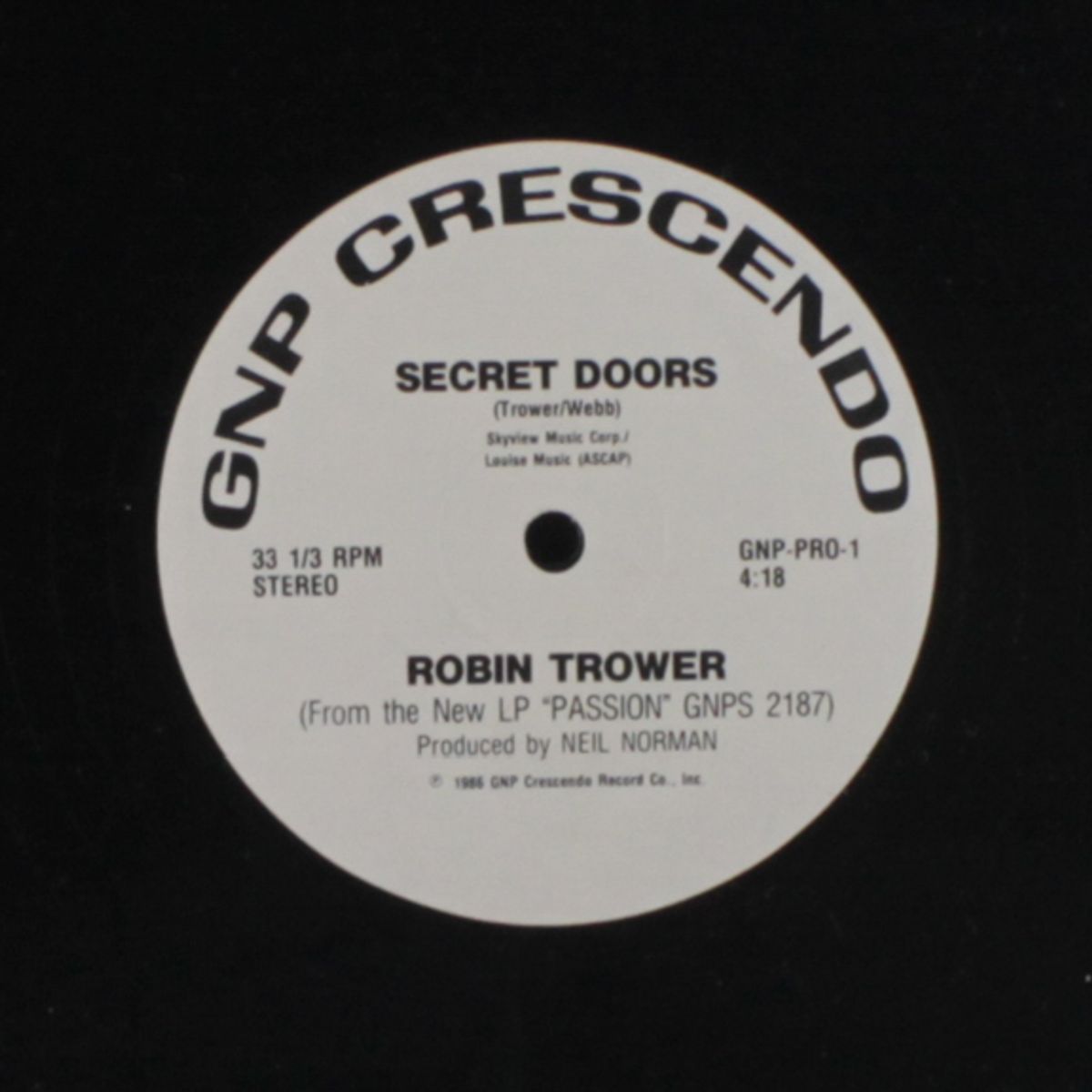secret doors / same by ROBIN TROWER
