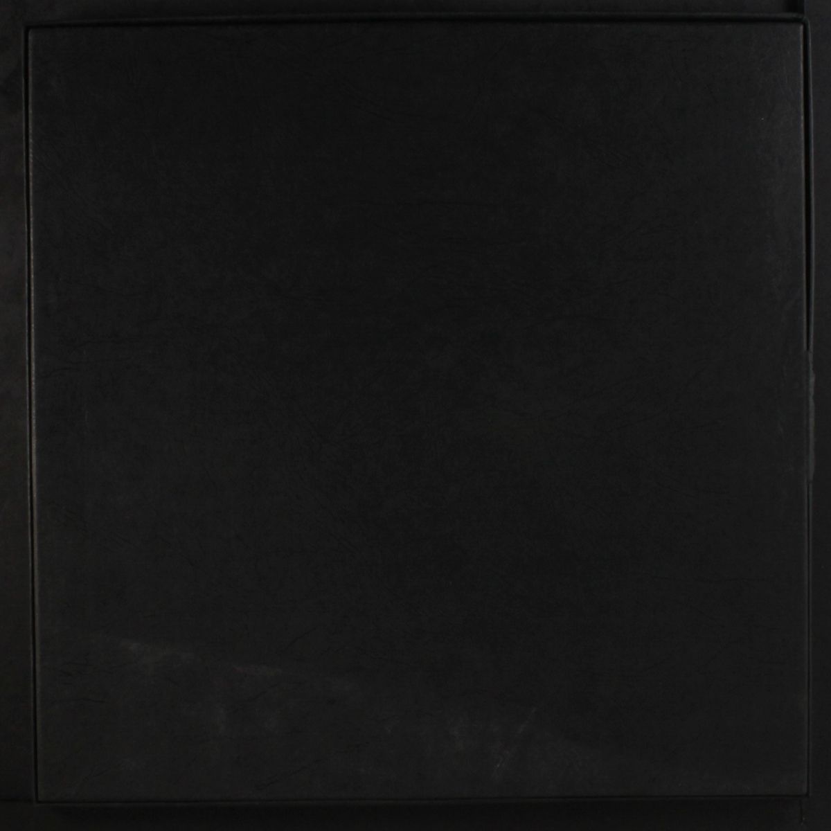 piece de resistance by BRUCE SPRINGSTEEN