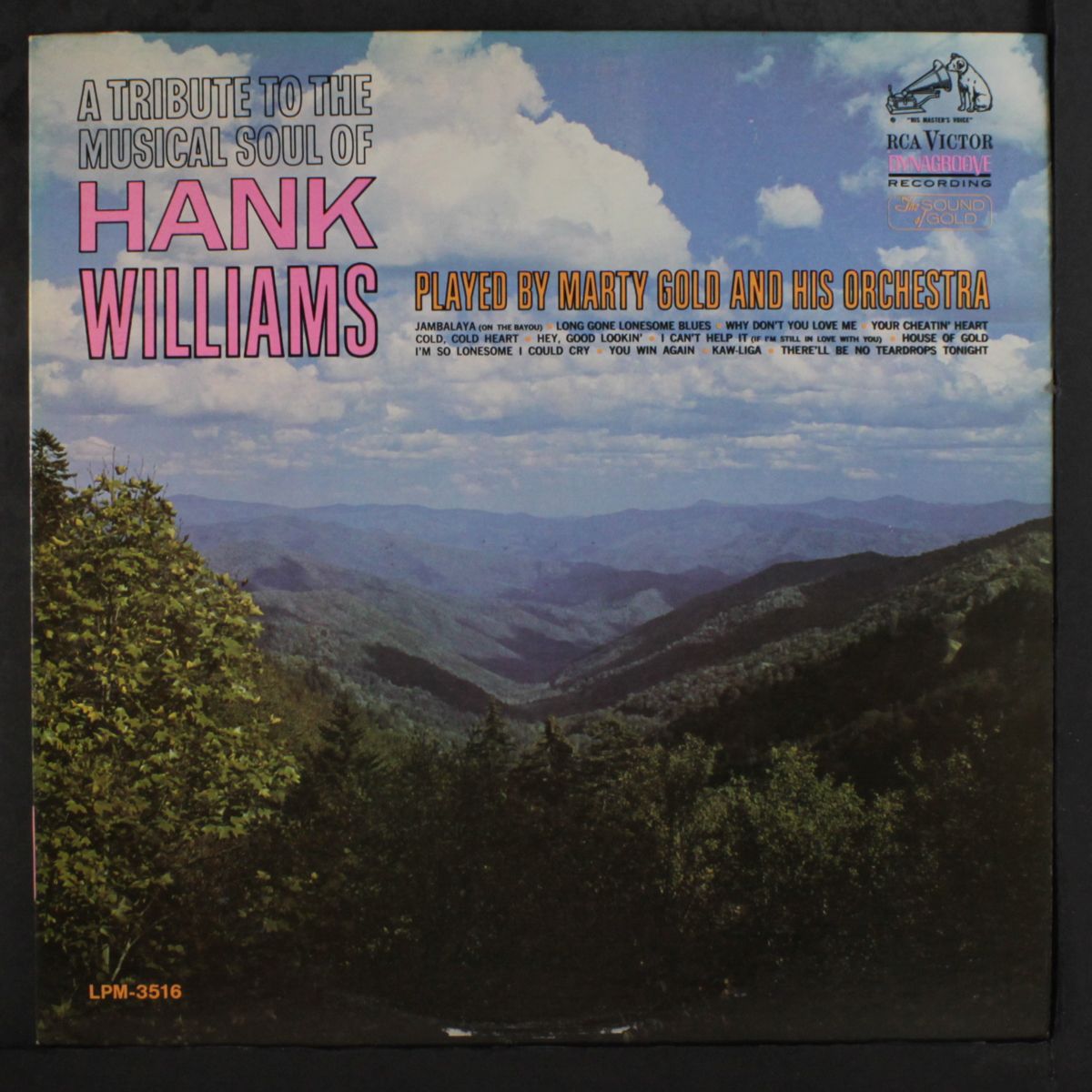 tribute to the musical soul of hank williams by MARTY GOLD