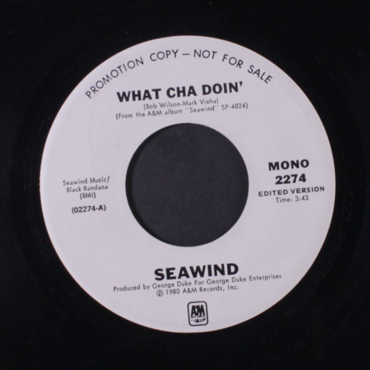 what cha doin' / mono by SEAWIND
