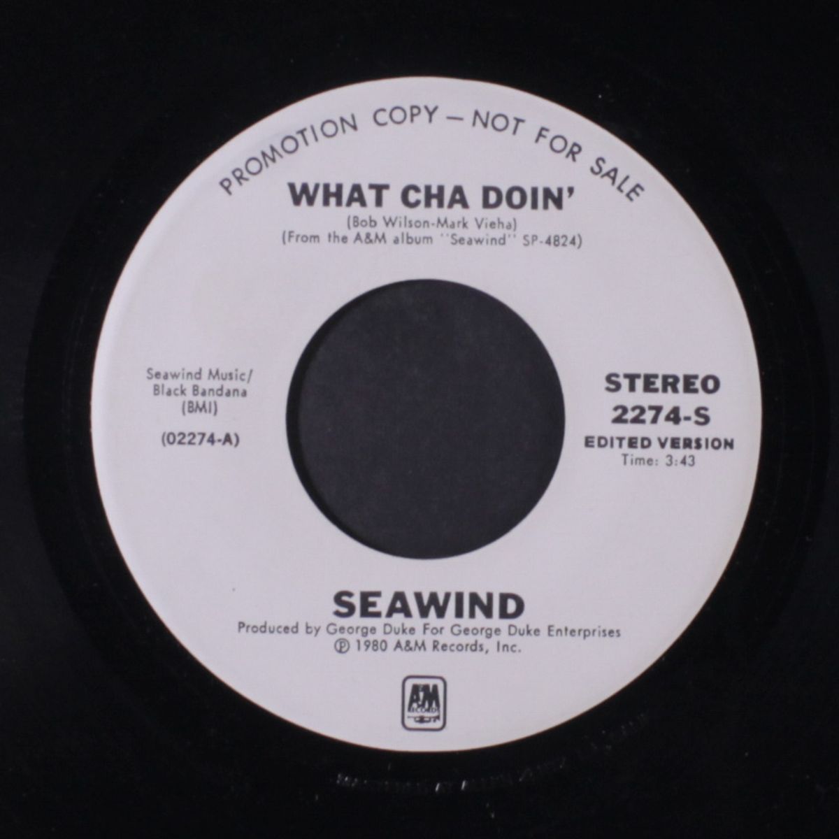 what cha doin' / mono by SEAWIND