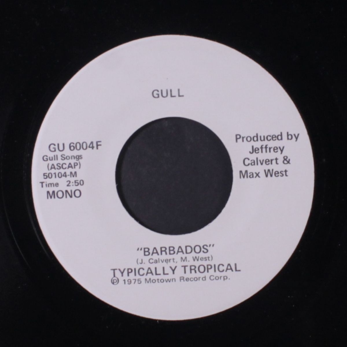 barbados / mono by TYPICALLY TROPICAL