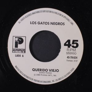 LOS GATOS NEGROS