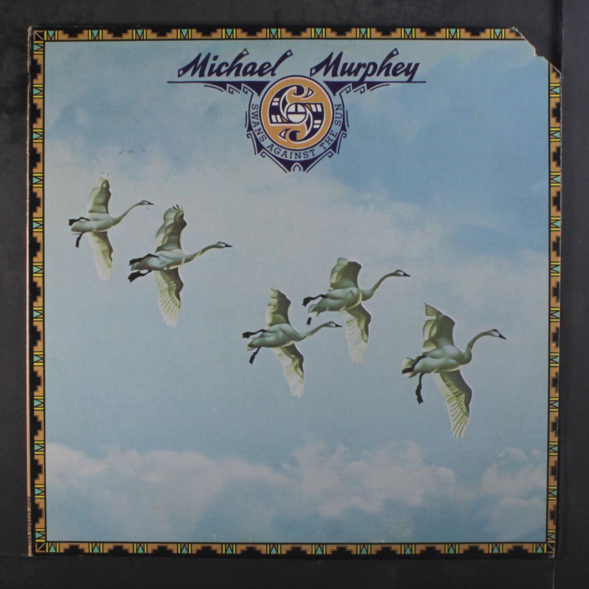 swans against the sun by MICHAEL MURPHEY