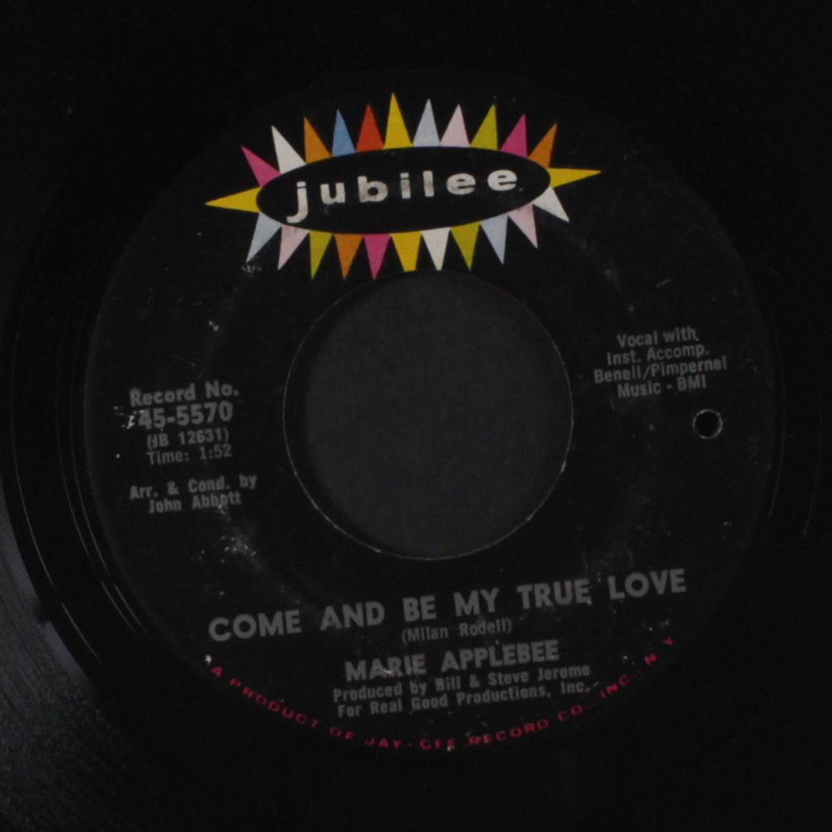 come and be my true love by MARIE APPLEBEE
