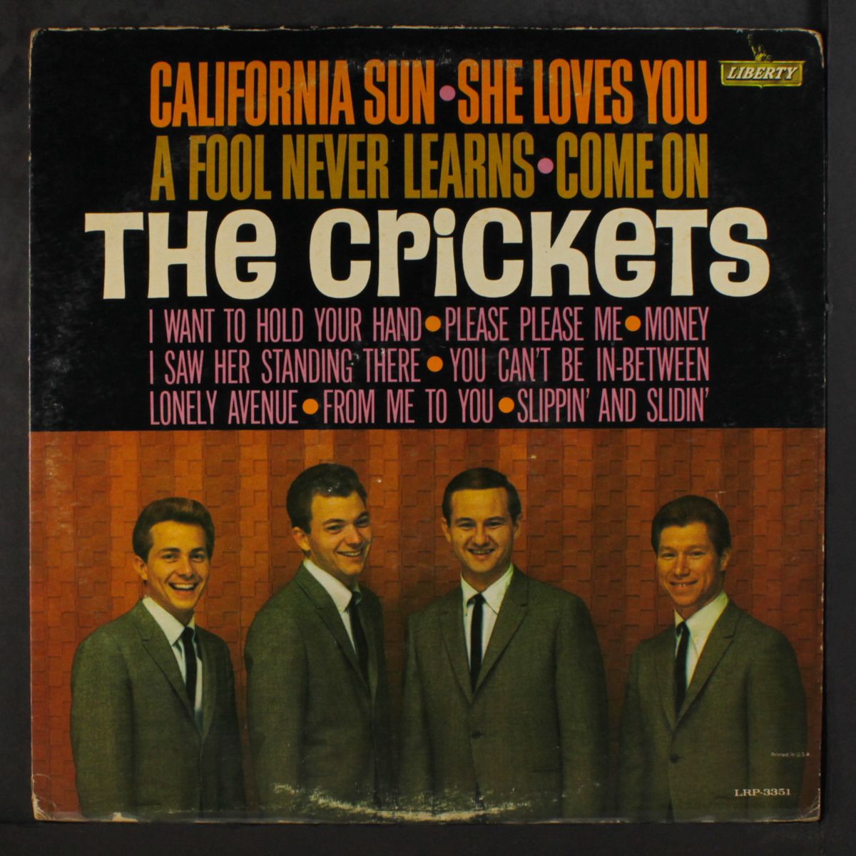 california sun / she loves you by CRICKETS