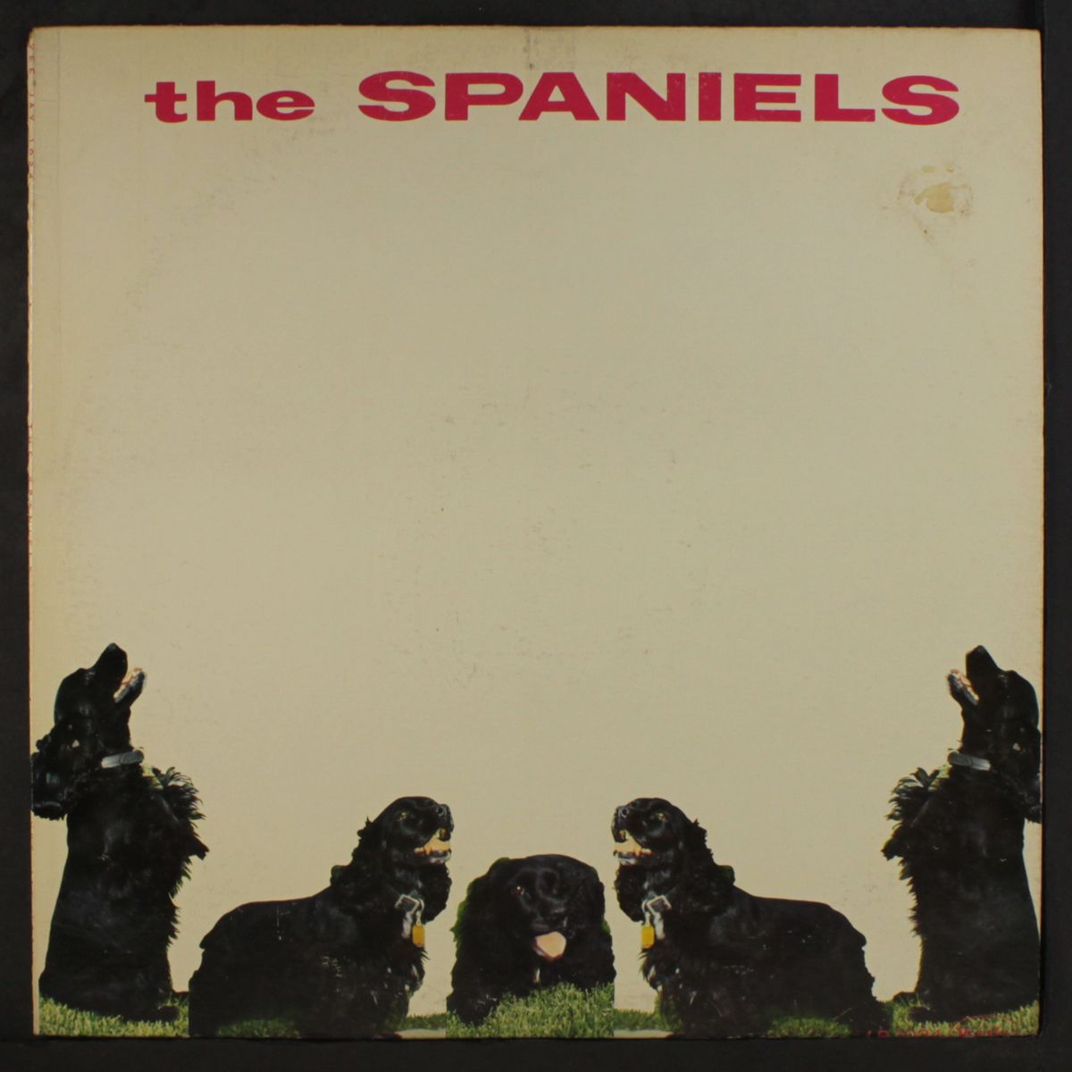 the spaniels by SPANIELS