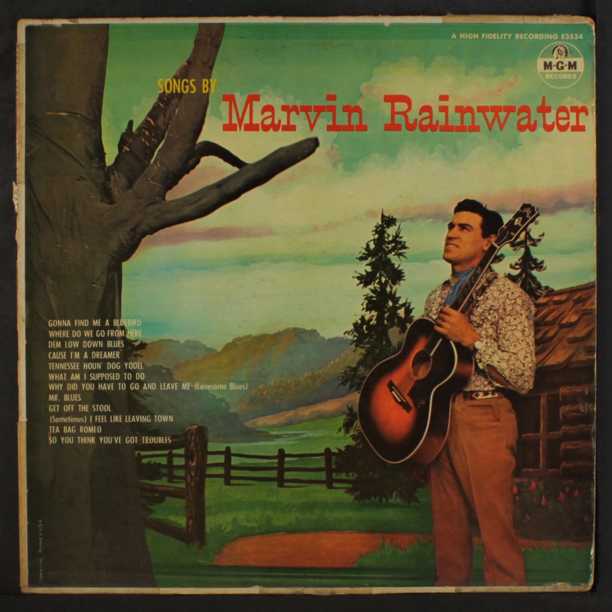 songs by by MARVIN RAINWATER