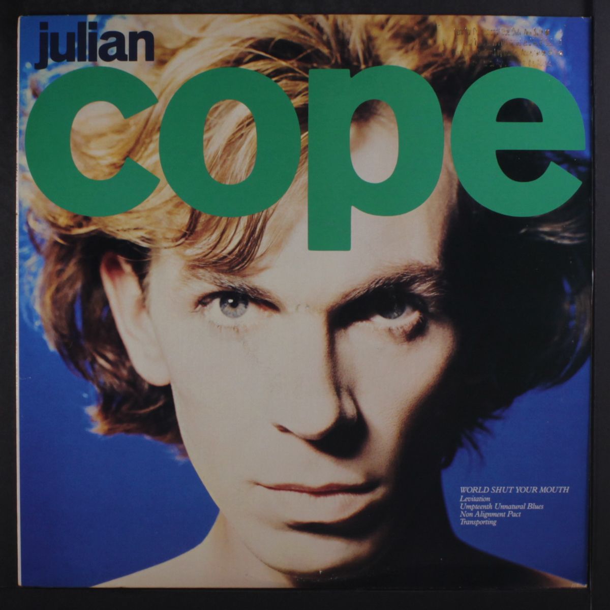world shut your mouth by JULIAN COPE