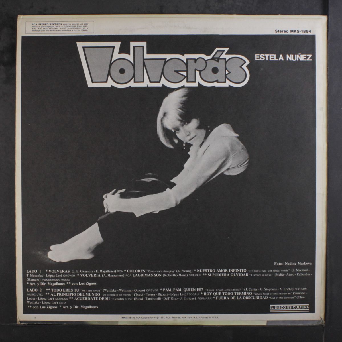volveras by ESTELA NUNEZ