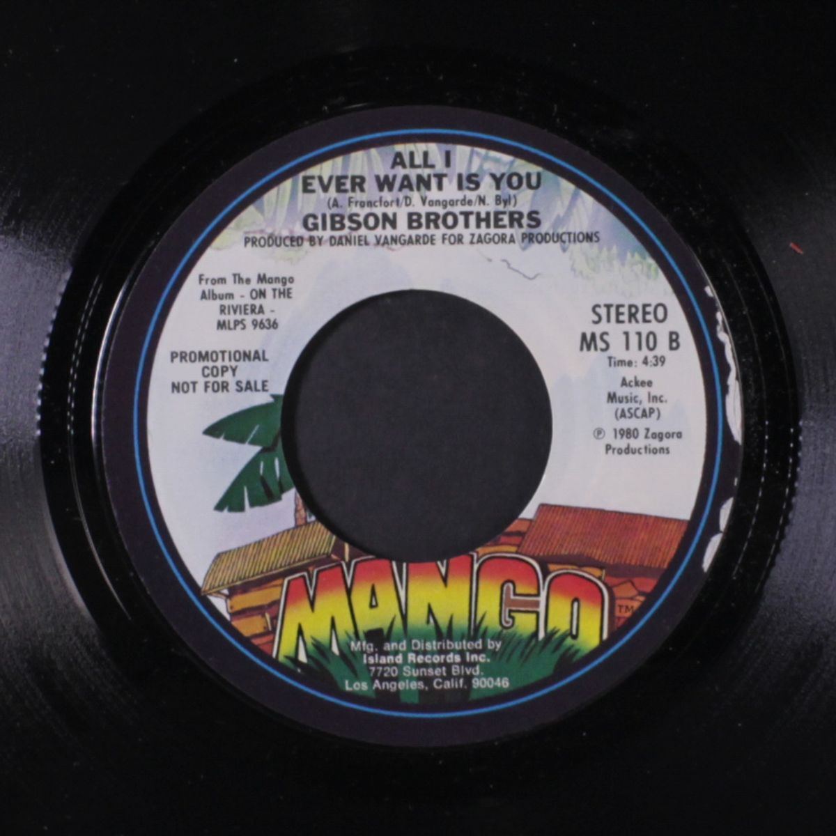 dancin' the mambo / all i ever want is you by GIBSON BROTHERS
