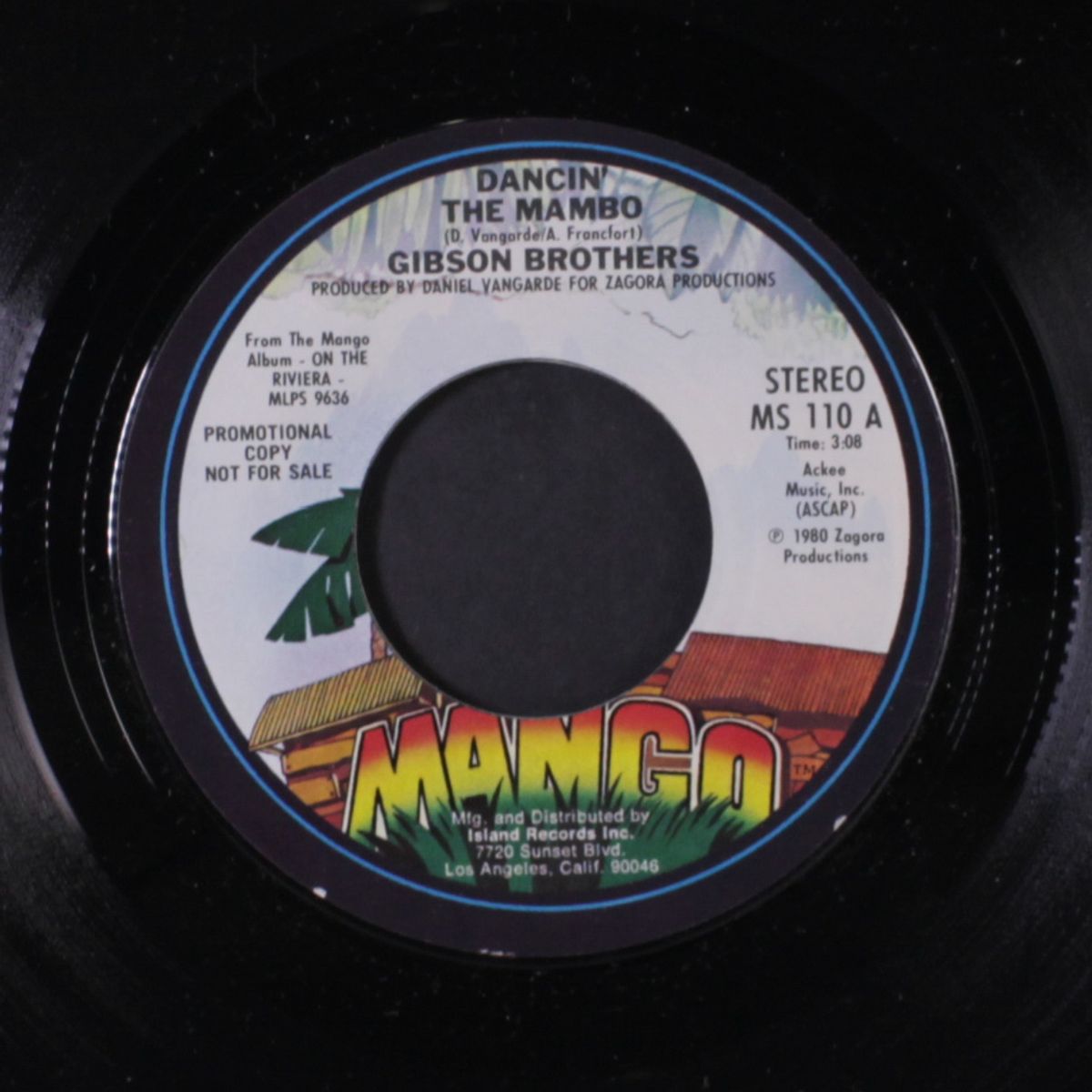 dancin' the mambo / all i ever want is you by GIBSON BROTHERS