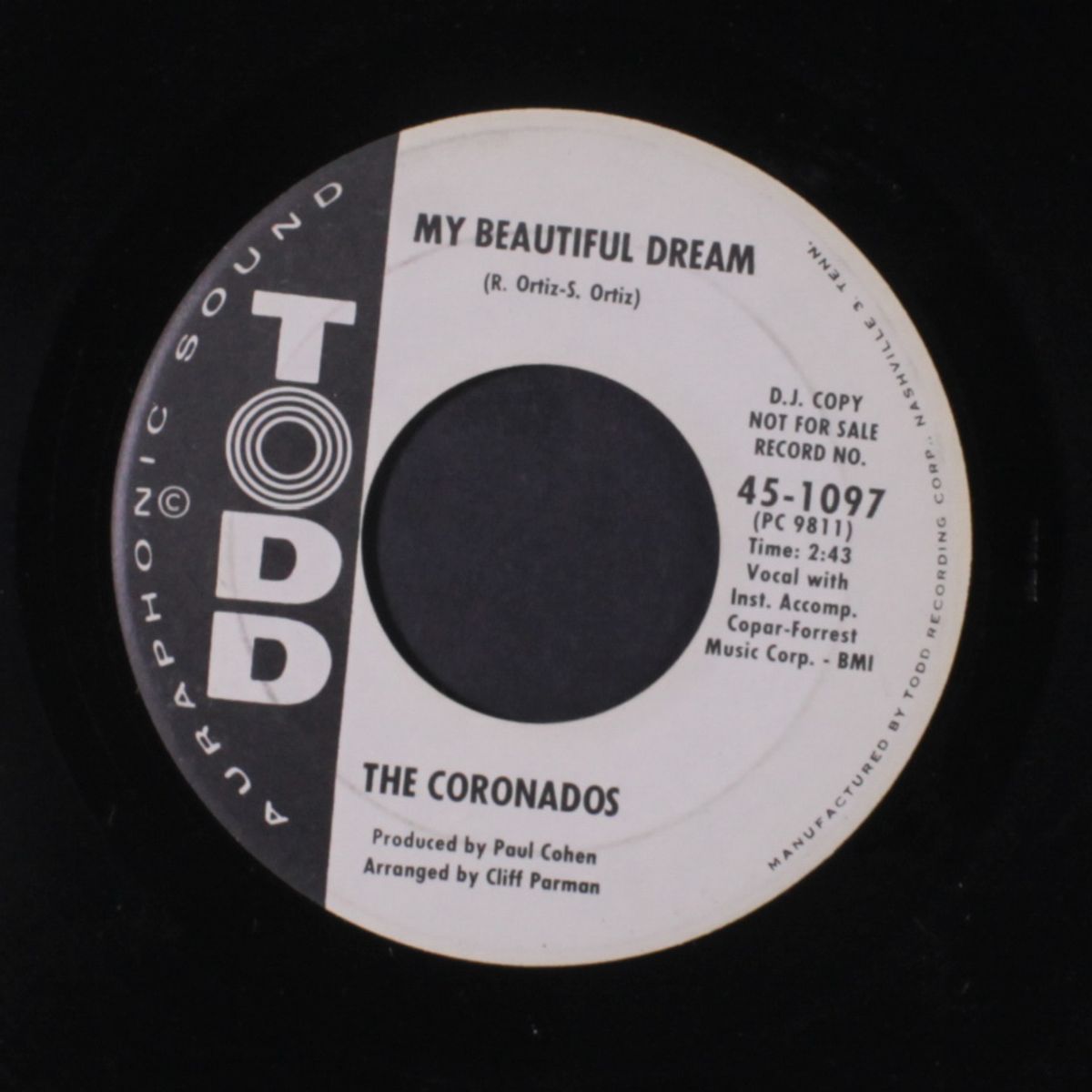you fool / my beautiful dream by CORONADOS