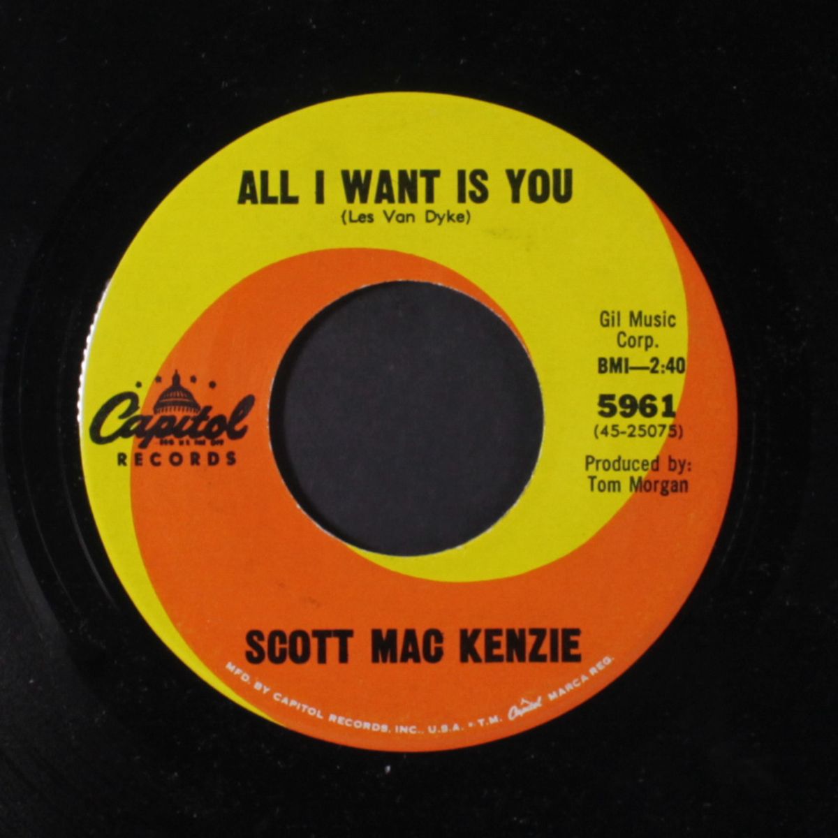 look in your eyes by SCOTT MAC KENZIE