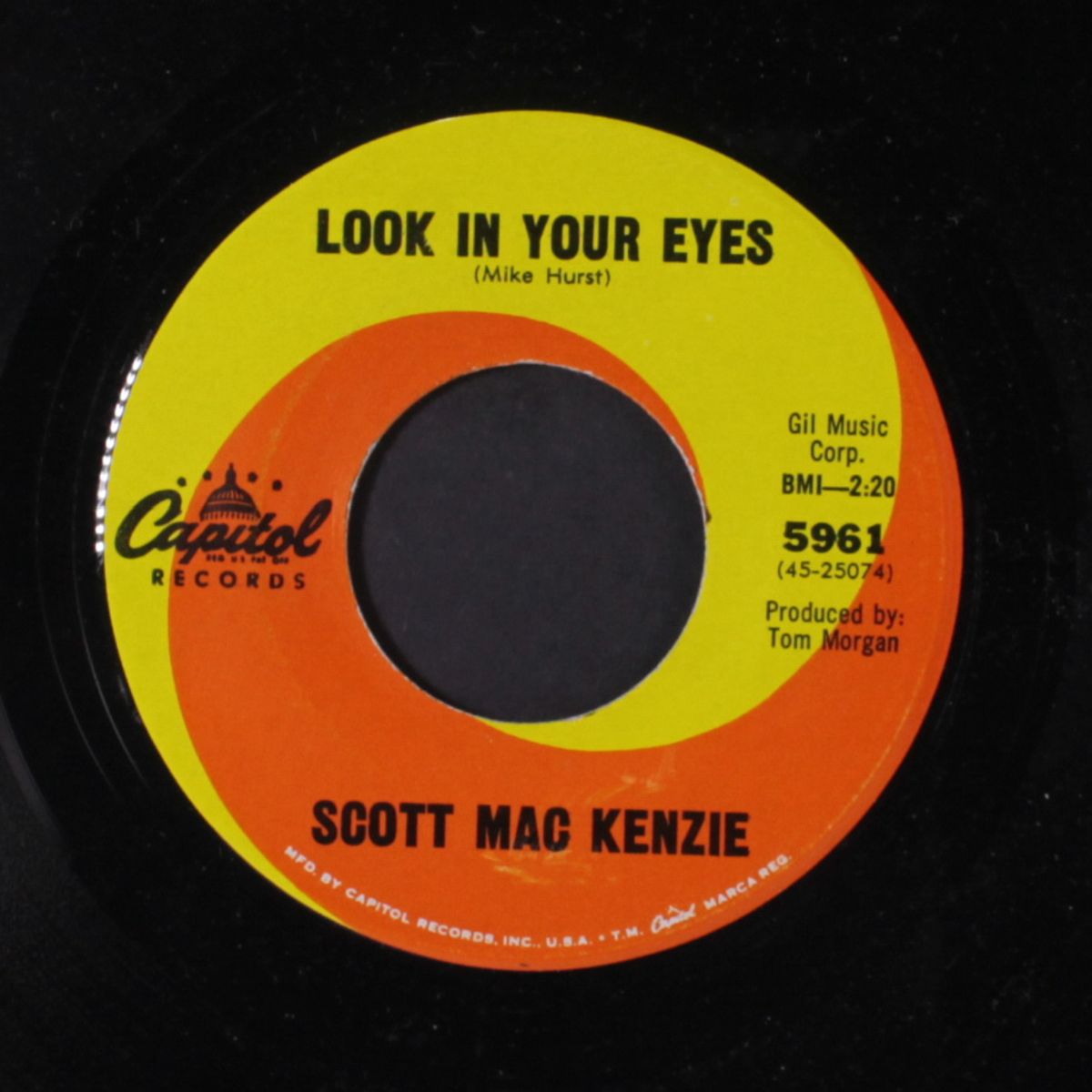 look in your eyes by SCOTT MAC KENZIE