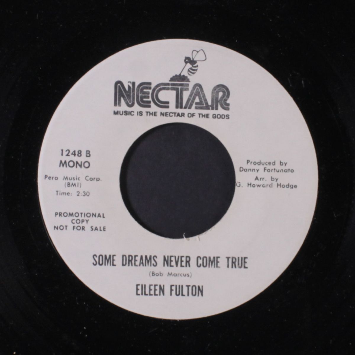 some dreams never come true by EILEEN FULTON