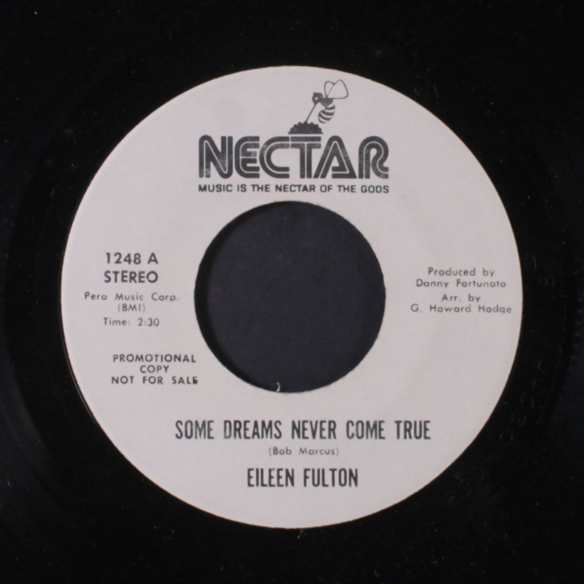 some dreams never come true by EILEEN FULTON
