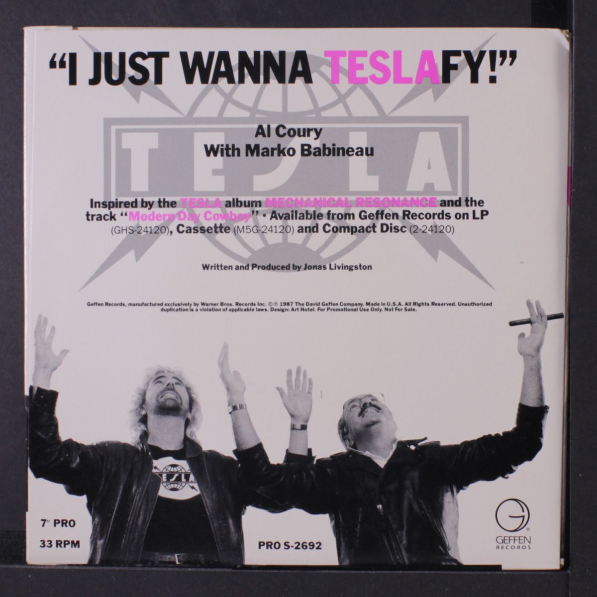 i just wanna teslafy by AL COURY & MARKO BABINEAU