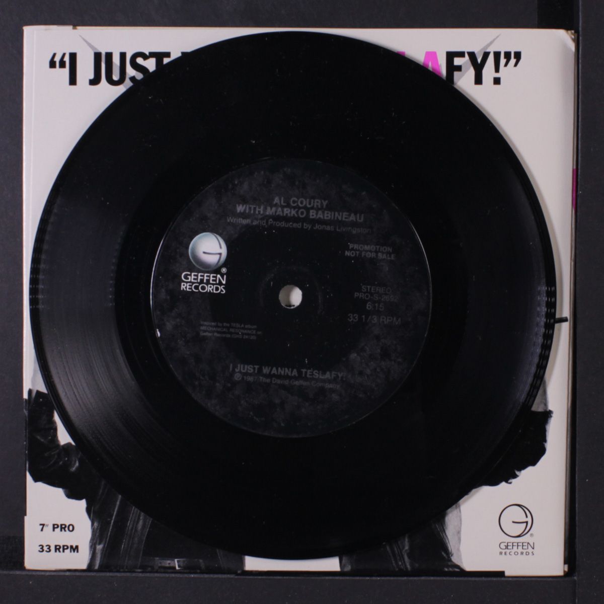 i just wanna teslafy by AL COURY & MARKO BABINEAU