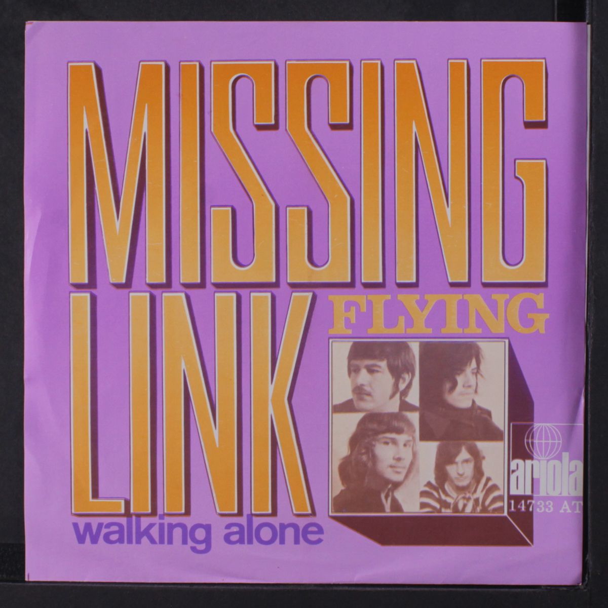 flying / walking alone by MISSING LINK