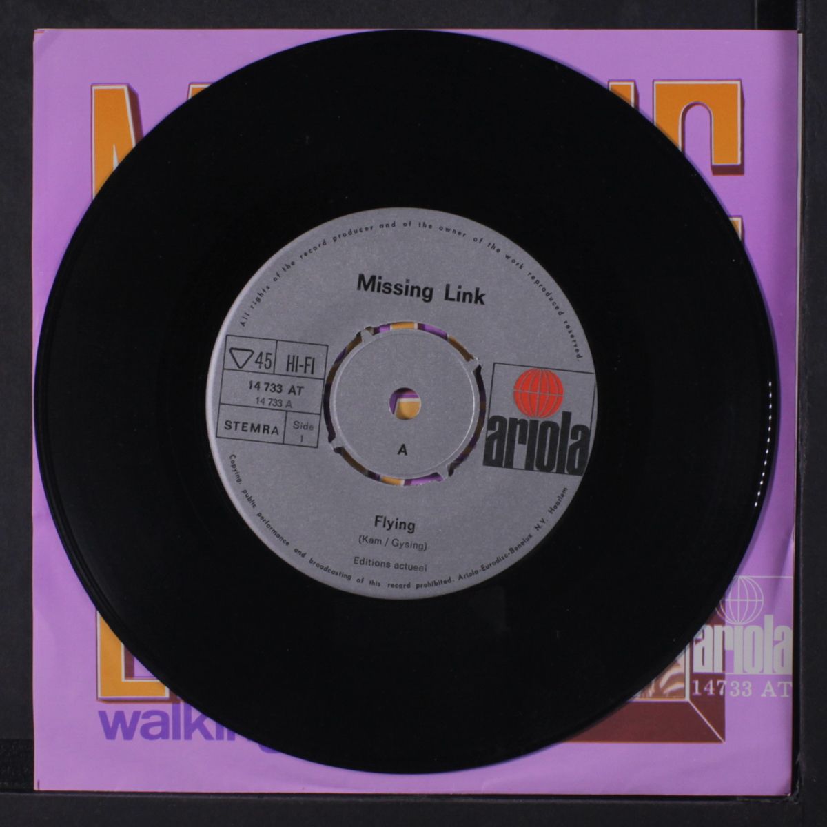 flying / walking alone by MISSING LINK
