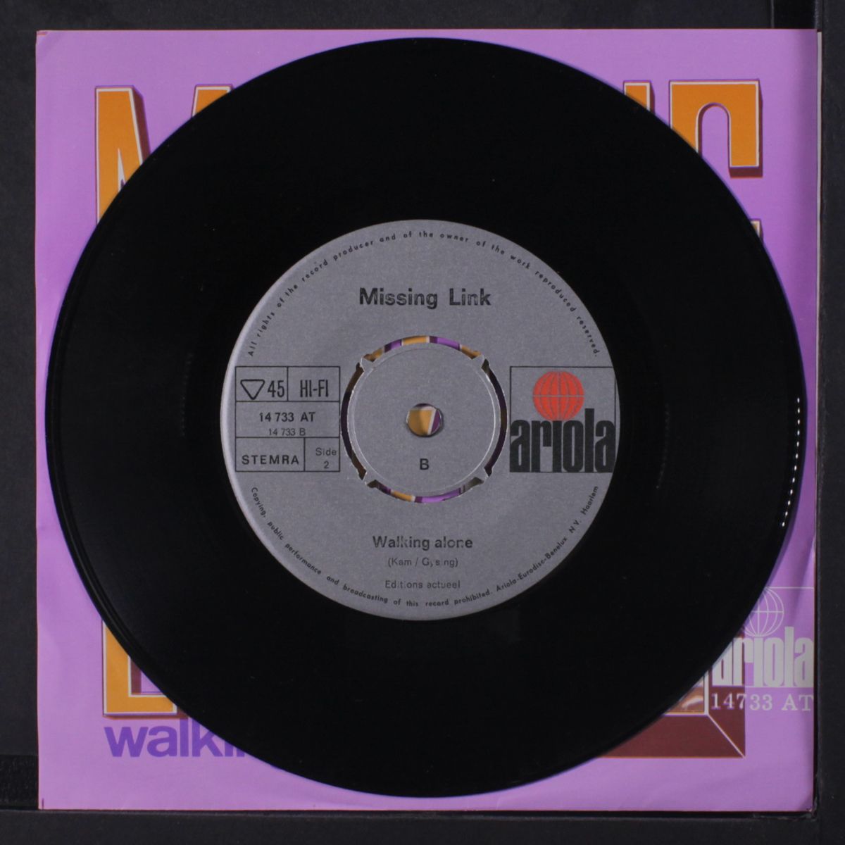 flying / walking alone by MISSING LINK