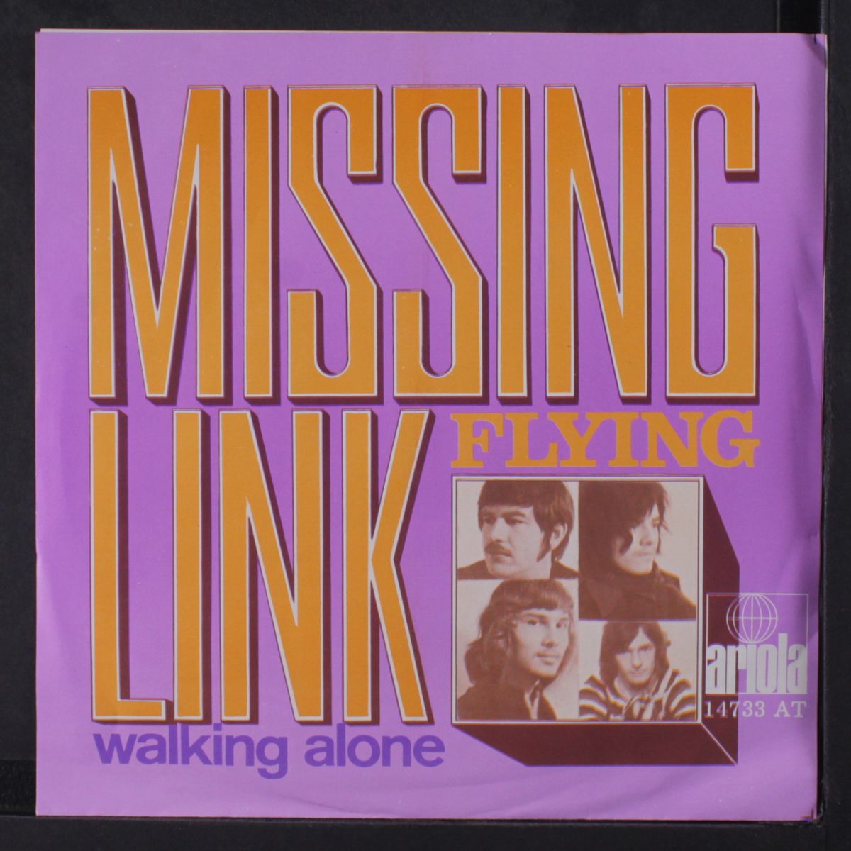 flying / walking alone by MISSING LINK