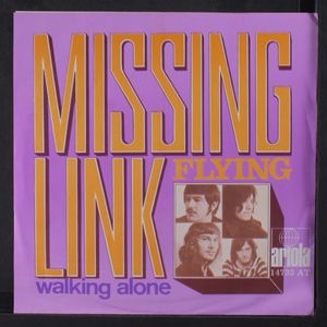 MISSING LINK