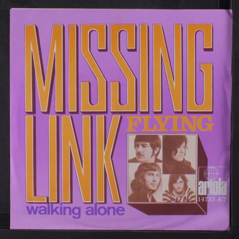 MISSING LINK