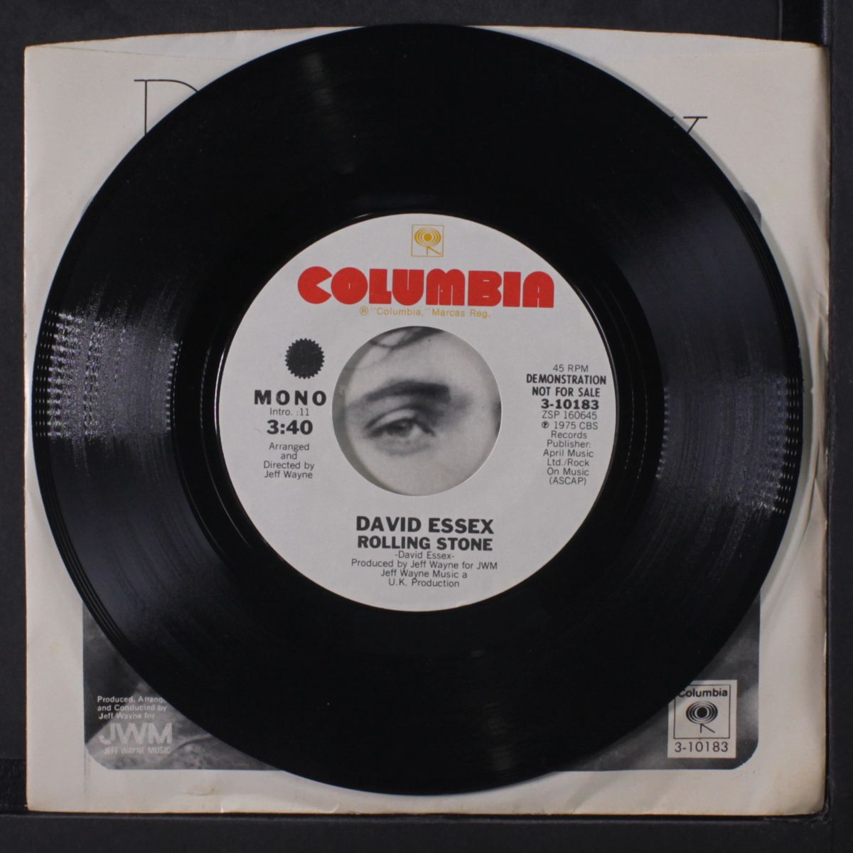 rolling stone / mono by DAVID ESSEX