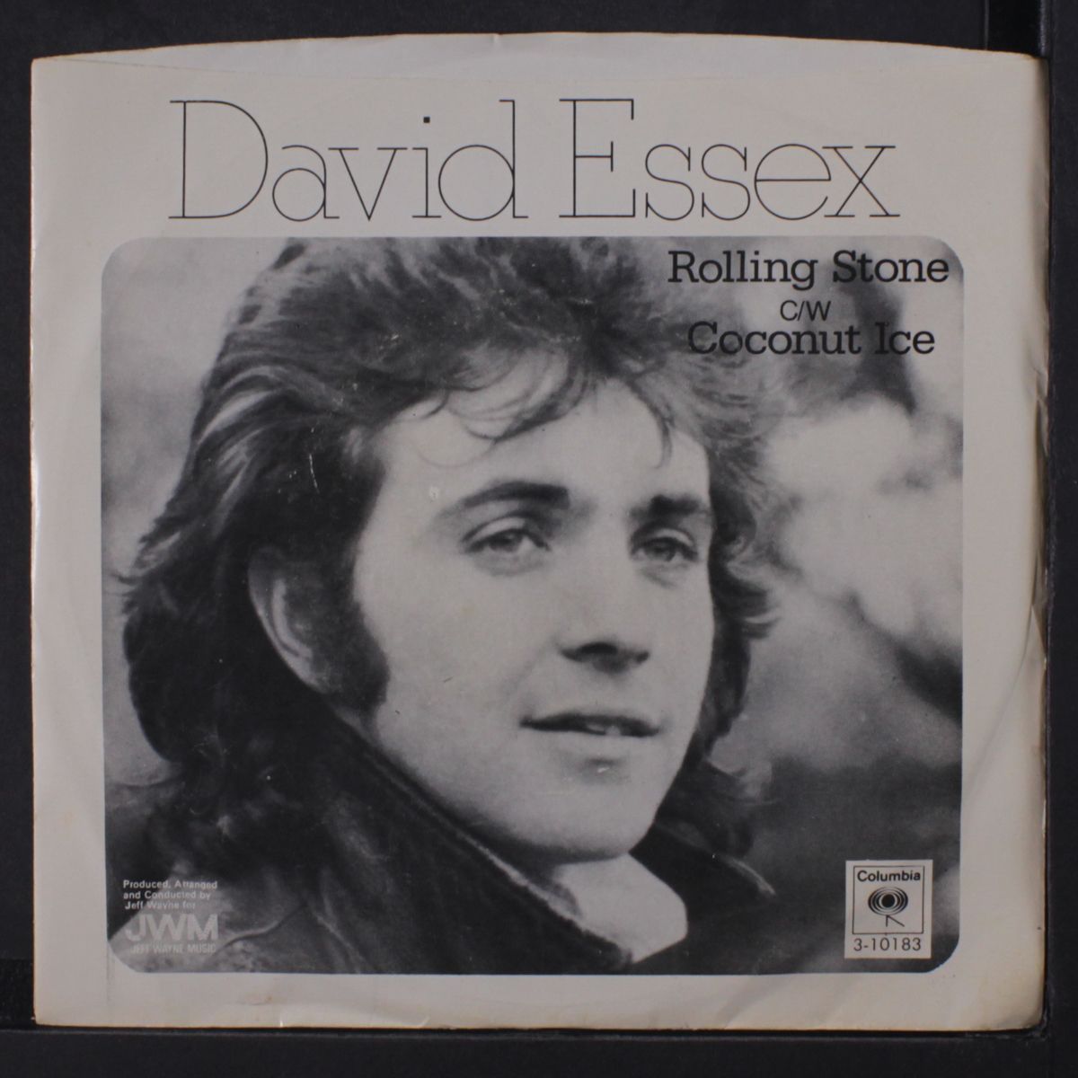 rolling stone / mono by DAVID ESSEX