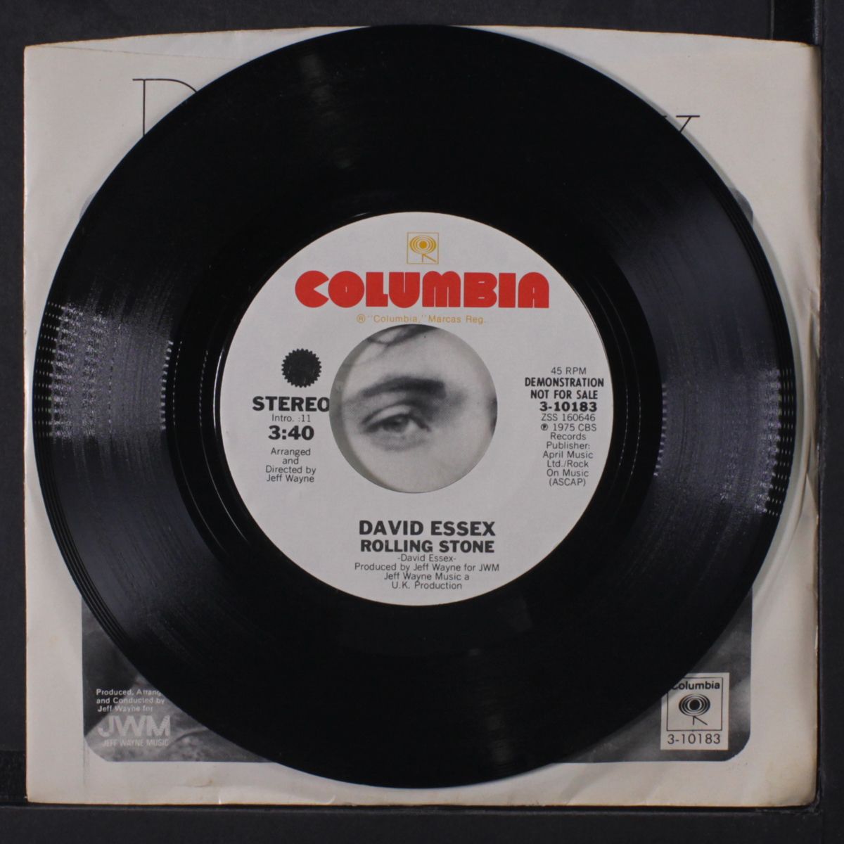 rolling stone / mono by DAVID ESSEX