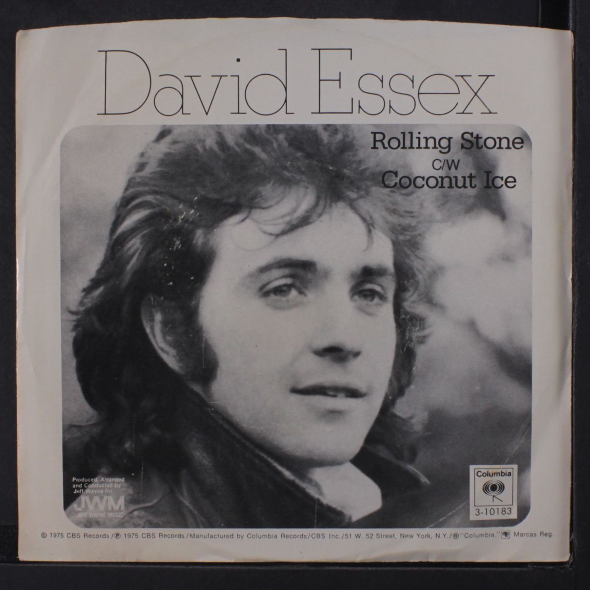 rolling stone / mono by DAVID ESSEX