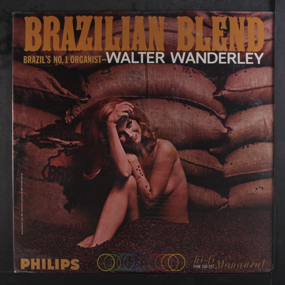 brazilian blend by WALTER WANDERLEY