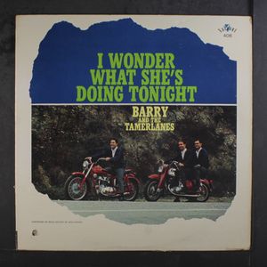 BARRY & TAMERLANES