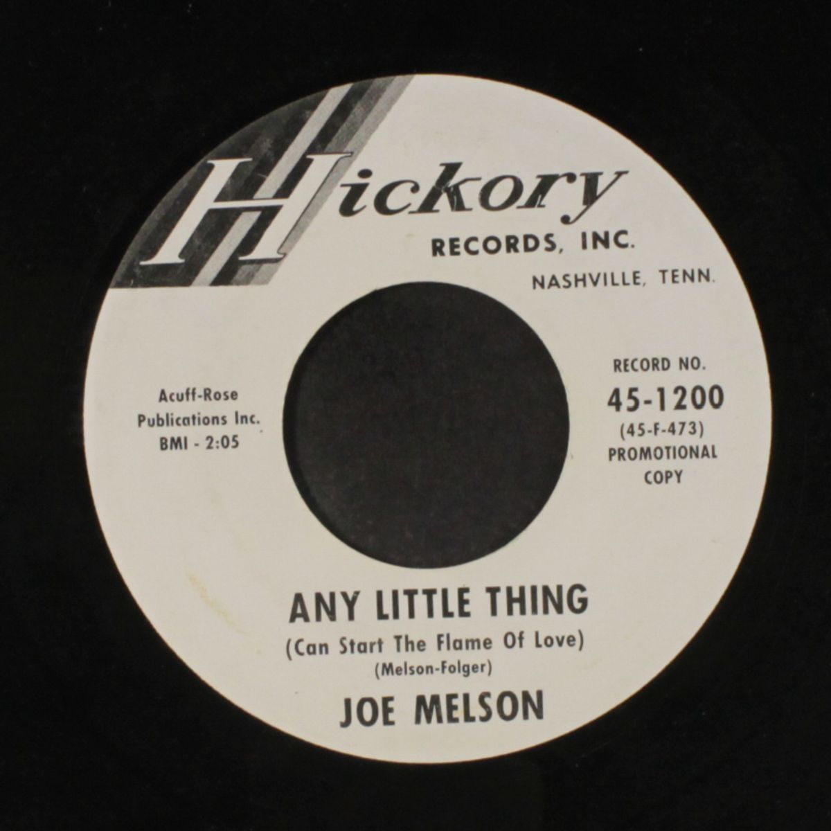 raining in my heart / any little thing by JOE MELSON
