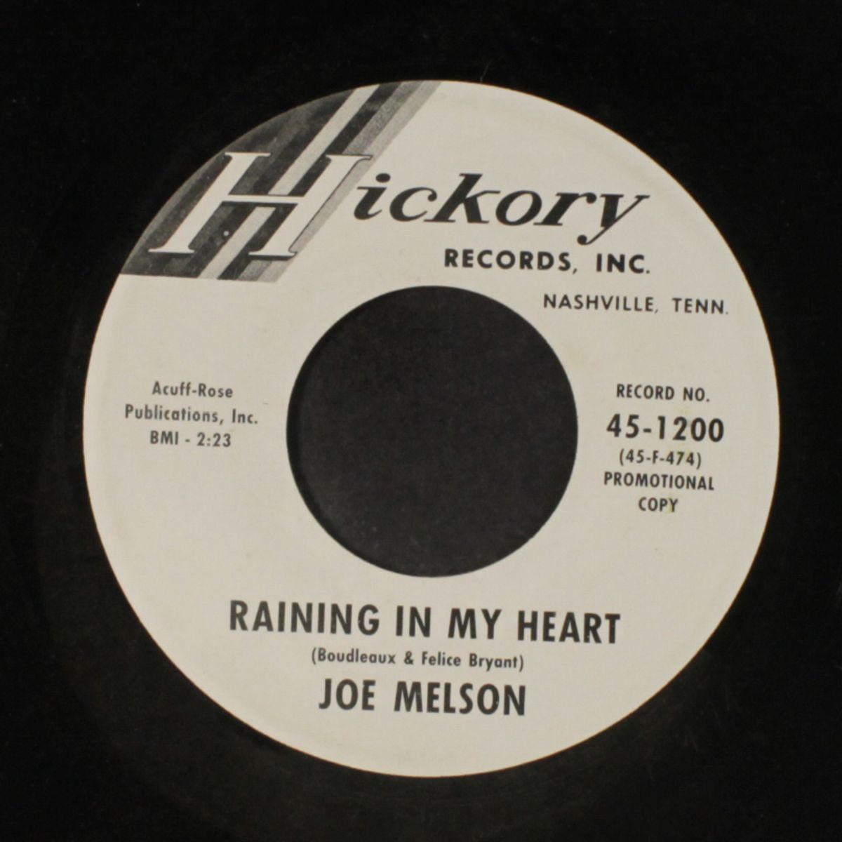 raining in my heart / any little thing by JOE MELSON