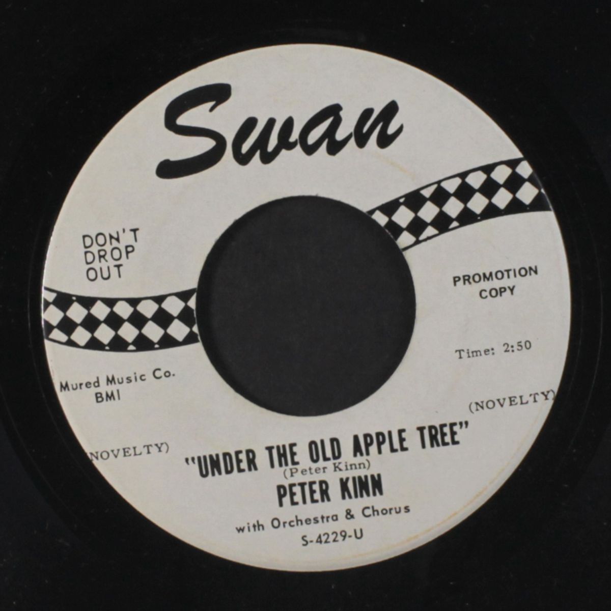 walking alone / under the old apple tree by PETER KINN