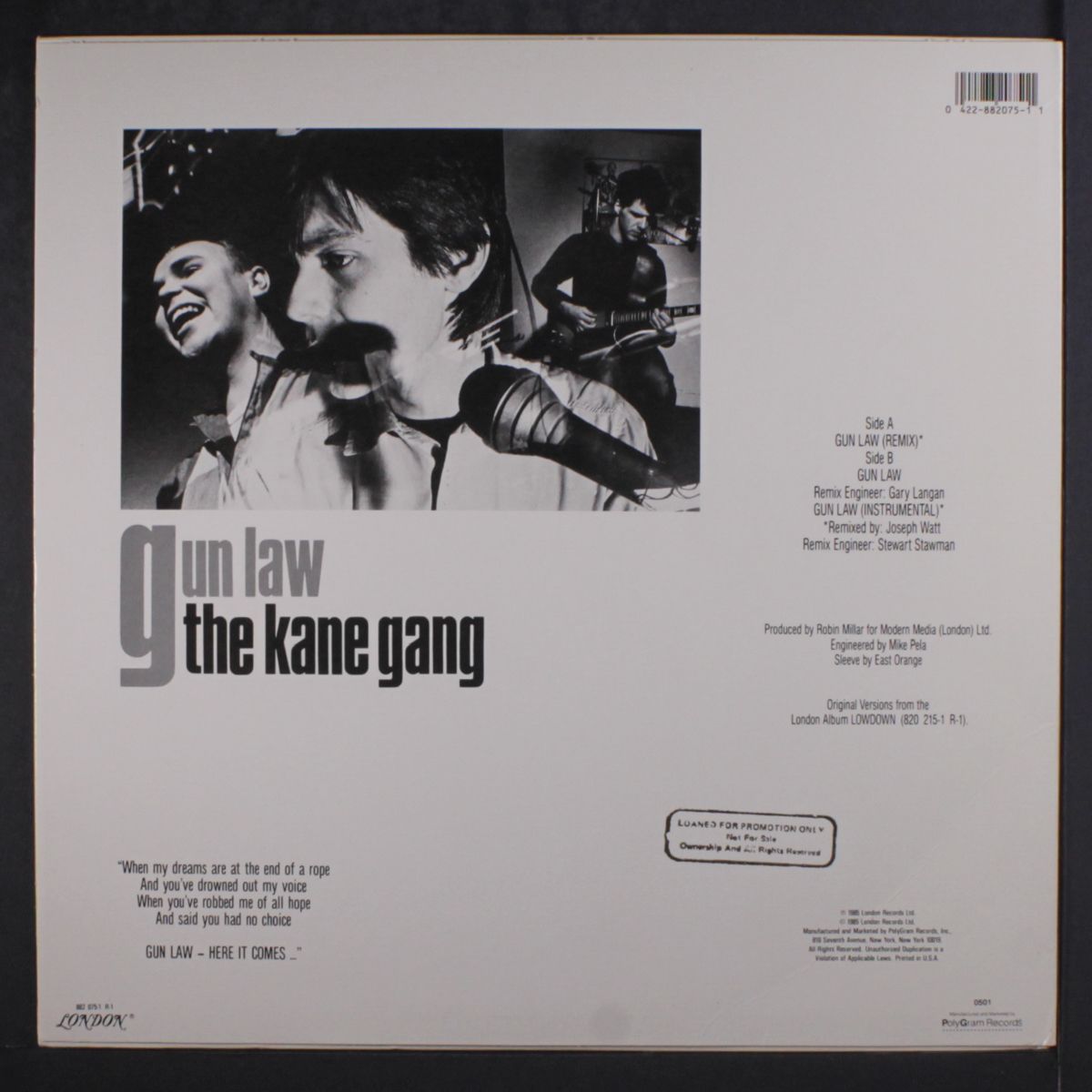 gun law by KANE GANG