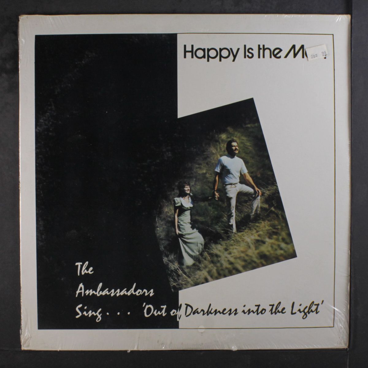 out of darkness into the light by AMBASSADORS