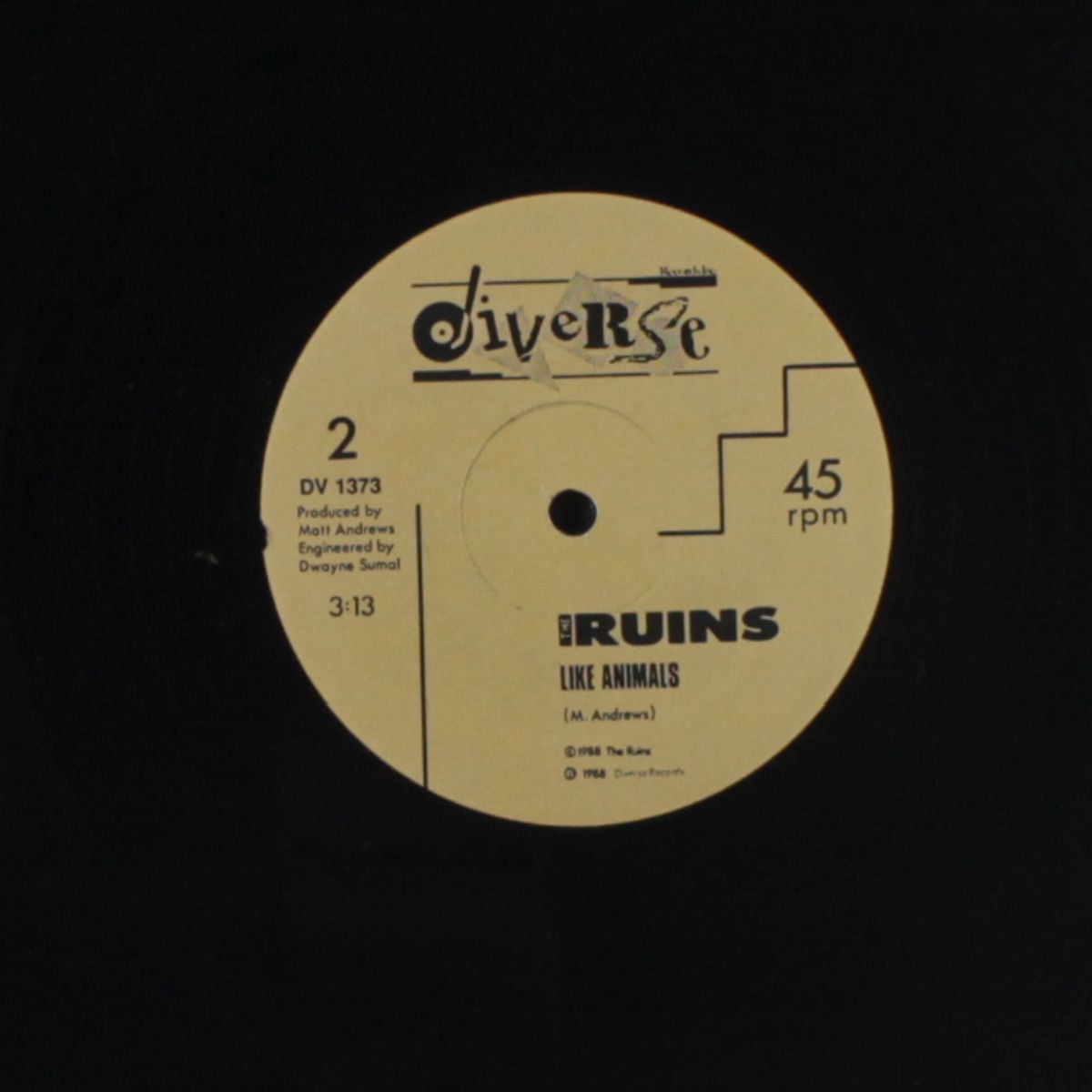 people everywhere / like animals by RUINS