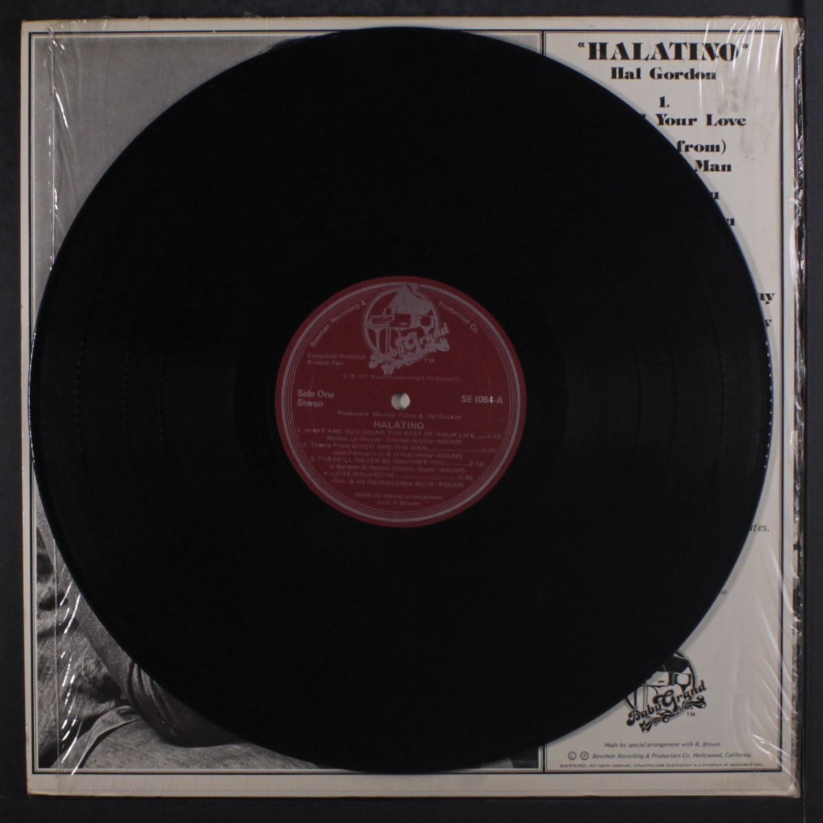 halatino by HAL GORDON