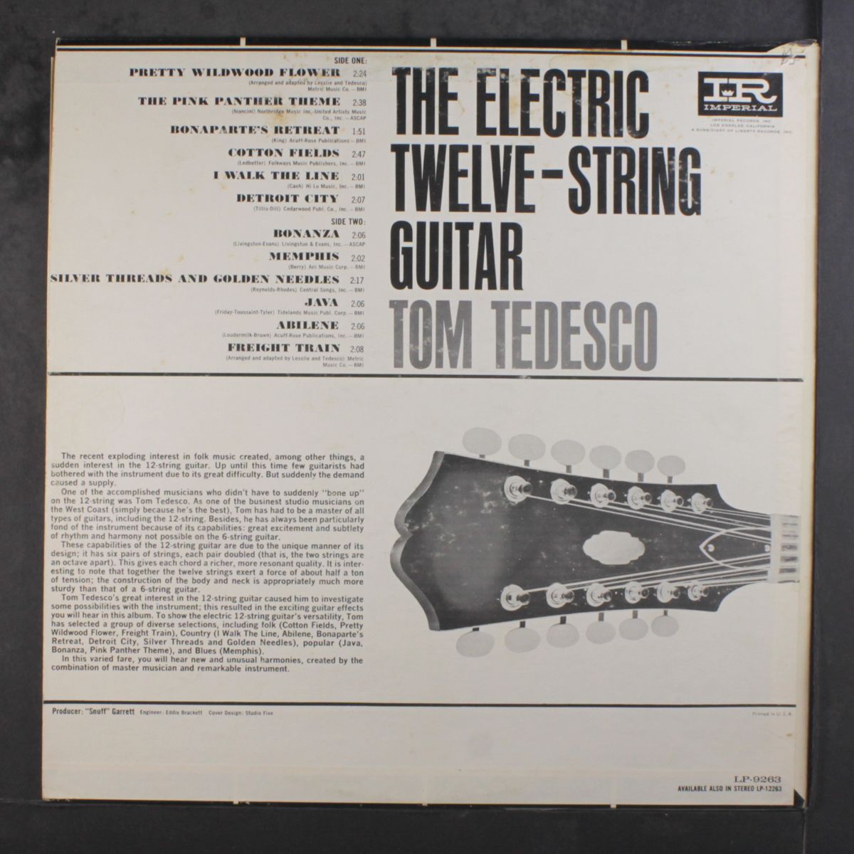 the electric twelve string guitar by TOM TEDESCO